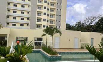 Imagem 3: Caminhos do Iitoral em buraquinho