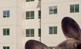 Imagem: Vog reserva Imperiale estrada do coco Grafico