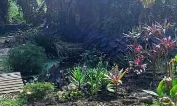 Imagem 6: Sítio na Vargem de Bom Jesus