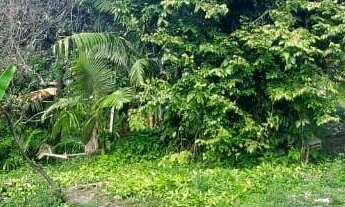 Imagem 2: Sítio na Vargem de Bom Jesus