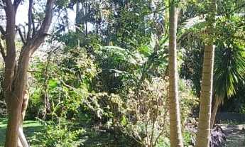 Imagem 3: Sítio na Vargem de Bom Jesus