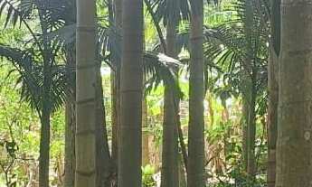 Imagem 4: Terreno com escritura pública