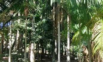 Imagem 3: Terreno com escritura pública