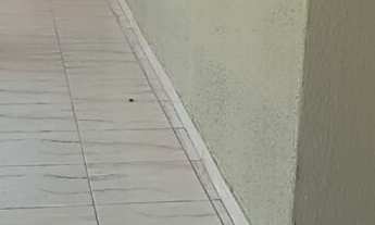 Imagem: Sobrado 3Q  Residencial Vale dos Sonhos