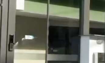 Imagem: Apartamento à venda no bairro Carvoeira