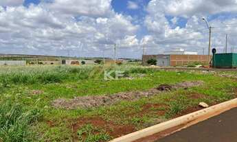 Imagem 5: Terreno à Venda no Bella Cravinhos