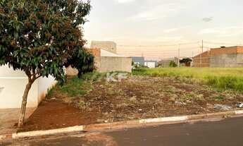 Imagem 6: Terreno á venda - Bairro Aliança - Cravinhos/SP