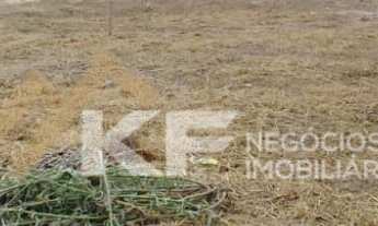 Imagem 5: Terreno á venda - Jardim Ângelo Jurca - Ribeirão Preto / SP