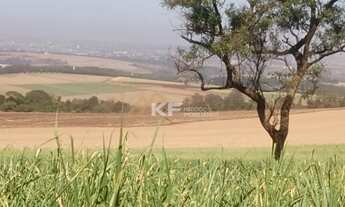Imagem: Fazenda à Venda na Região de Brodowski-SP