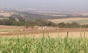 Imagem 5: Fazenda à Venda na Região de Brodowski-SP