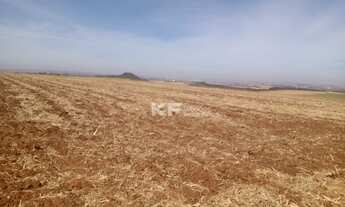 Imagem 2: Fazenda à Venda na Região de Brodowski-SP