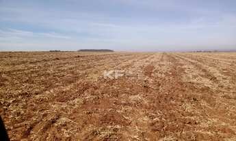 Imagem 3: Fazenda à Venda na Região de Brodowski-SP