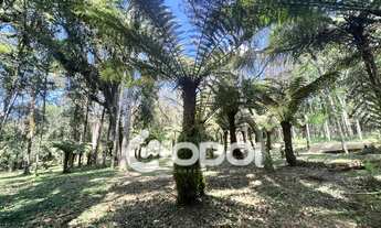 Imagem: Chácara na Borda do Campo