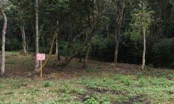 Imagem: Terreno para Venda em Parque Alvorada Itanhaém-SP