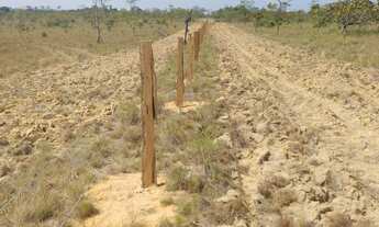 Imagem: Área Rural região de Prainha Pará