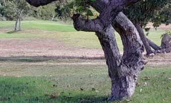 Imagem 5: Terreno no condomínio Terra Selvagem