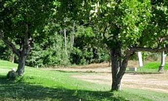 Imagem 7: Terreno no condomínio Terra Selvagem