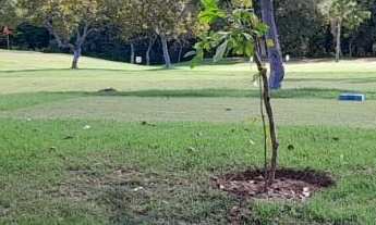 Imagem 4: Terreno no condomínio Terra Selvagem