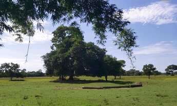 Imagem 2: Fazenda Pocone, 1 dormitório na Rua Salvador Marques