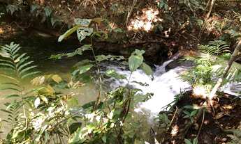 Imagem 4: Fazenda no Cone Sul de Rondonia