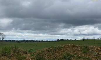 Imagem 6: Fazenda no Cone Sul de Rondonia