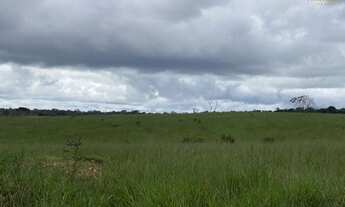 Imagem 7: Fazenda no Cone Sul de Rondonia