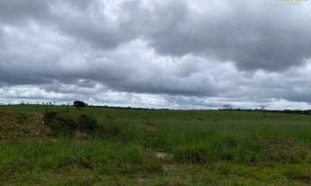 Imagem 3: Fazenda no Cone Sul de Rondonia