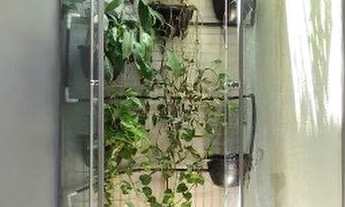 Imagem 4: Sobrado à venda no bairro Jardim Santa Amália - Cuiabá/MT