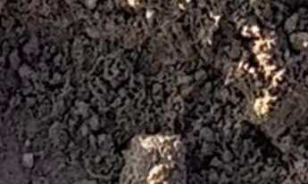 Imagem 7: Fazenda regiao de Pontes e Lacerda