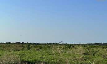 Imagem 4: Fazenda regiao de Pontes e Lacerda