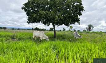 Imagem: Fazenda em Jangada