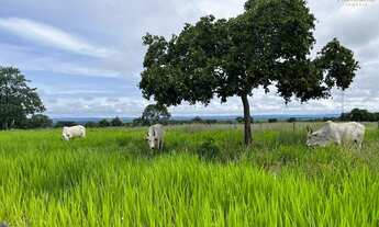 Imagem 5: Fazenda em Jangada