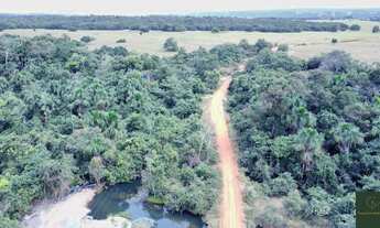Imagem 3: Fazenda Pecuária Tangará da Serra