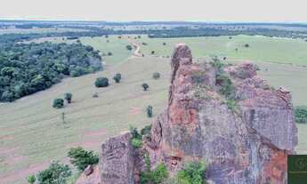Imagem 2: Fazenda Pecuária Tangará da Serra