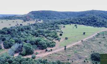 Imagem 6: Fazenda Pecuária Tangará da Serra