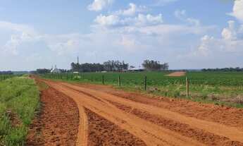 Imagem 2: Fazenda a 80KM DE NOVA MUTUM