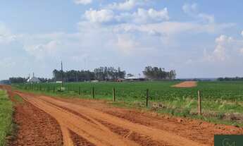 Imagem: Fazenda a 80KM DE NOVA MUTUM
