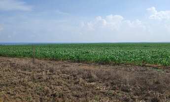 Imagem 4: Fazenda a 80KM DE NOVA MUTUM