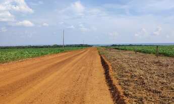 Imagem 3: Fazenda a 80KM DE NOVA MUTUM