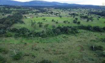 Imagem 7: Fazenda em Cáceres
