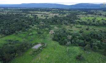 Imagem 6: Fazenda em Cáceres