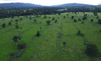 Imagem 4: Fazenda em Cáceres