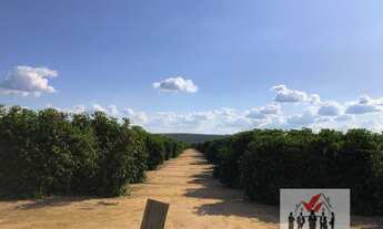 Imagem: Fazenda à venda no bairro Centro - Pará