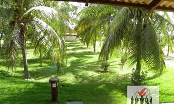 Imagem 3: Fazenda à venda no bairro Centro - Nova Olinda do Maranhão/MA