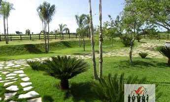 Imagem 2: Fazenda à venda no bairro Centro - Nova Olinda do Maranhão/MA