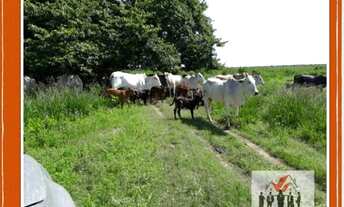 Imagem 4: Fazenda à venda no bairro Centro - São Romão/MG