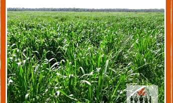 Imagem 1: Fazenda à venda no bairro Centro - São Romão/MG