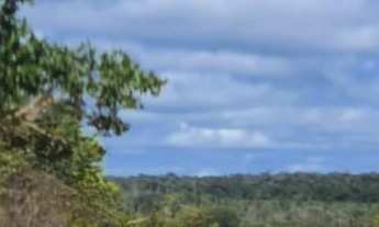 Imagem 6: Fazenda à venda no bairro Centro - Grão Mogol/MG