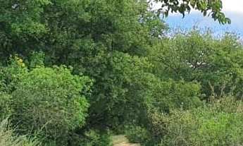 Imagem 2: Fazenda à venda no bairro Centro - Grão Mogol/MG