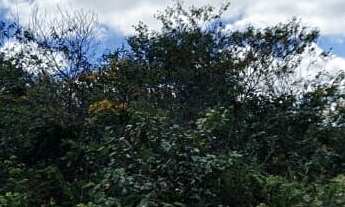 Imagem 3: Fazenda à venda no bairro Centro - Grão Mogol/MG